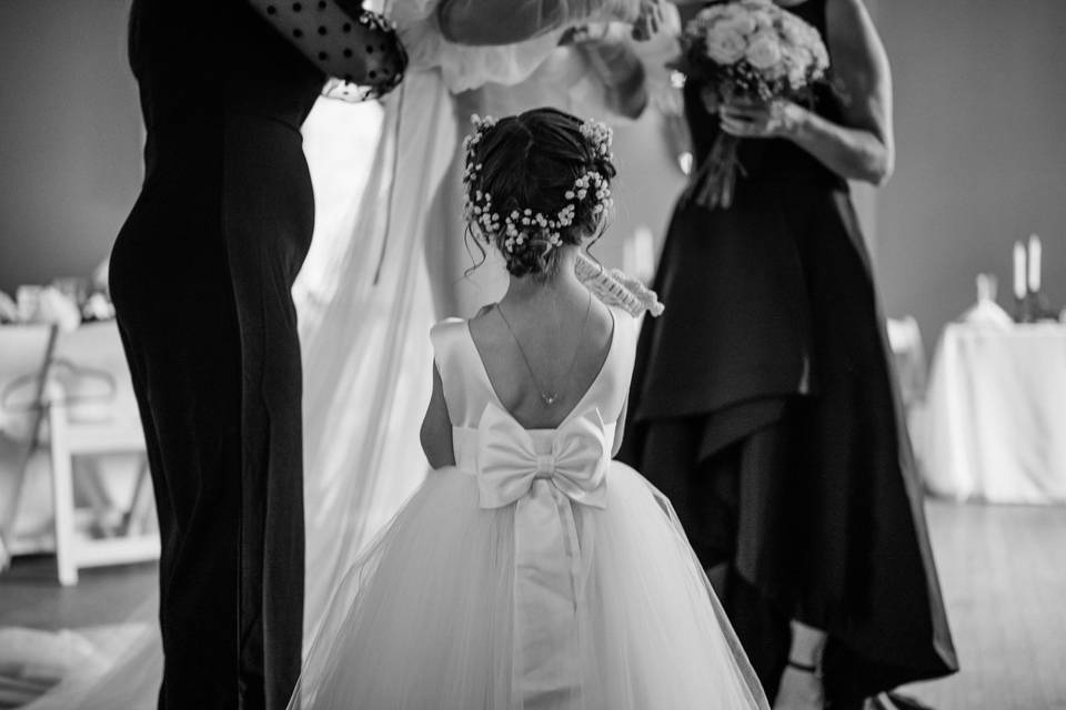 Jeff Wales Photography