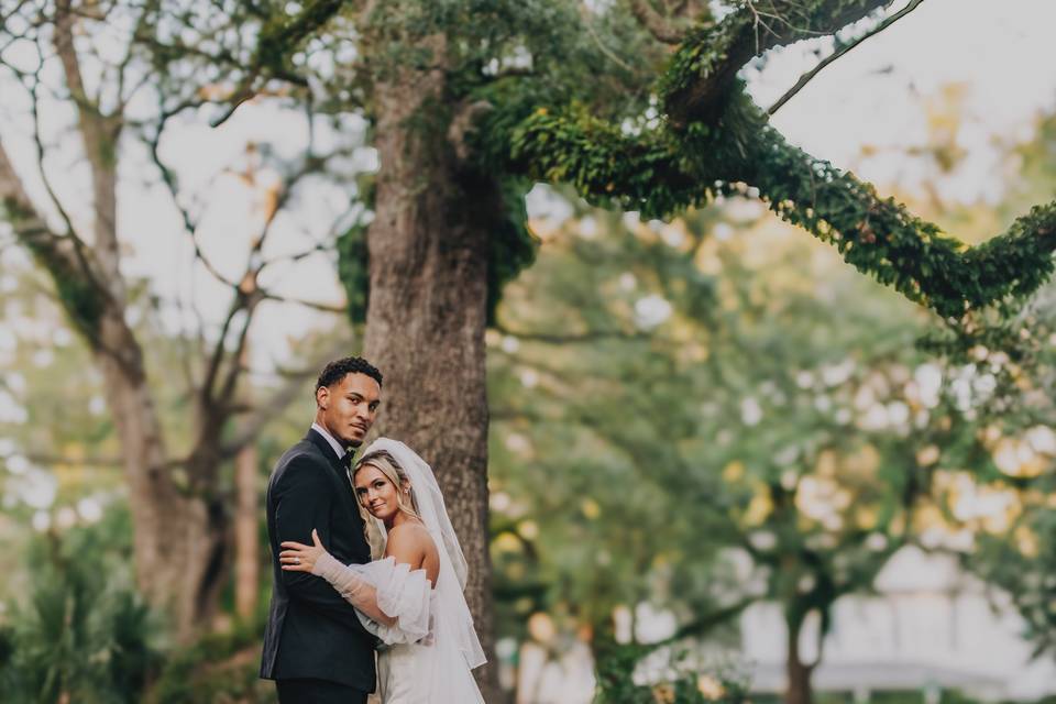 Jeff Wales Photography