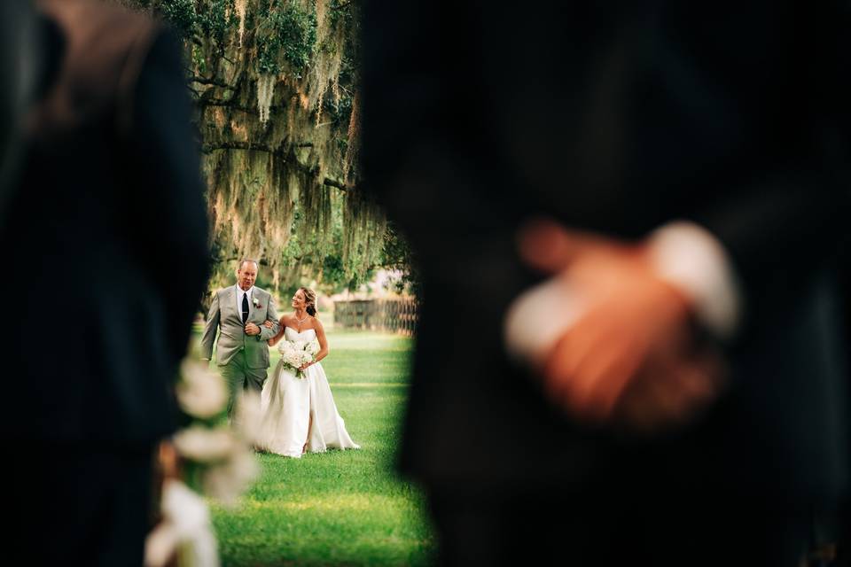 Jeff Wales Photography