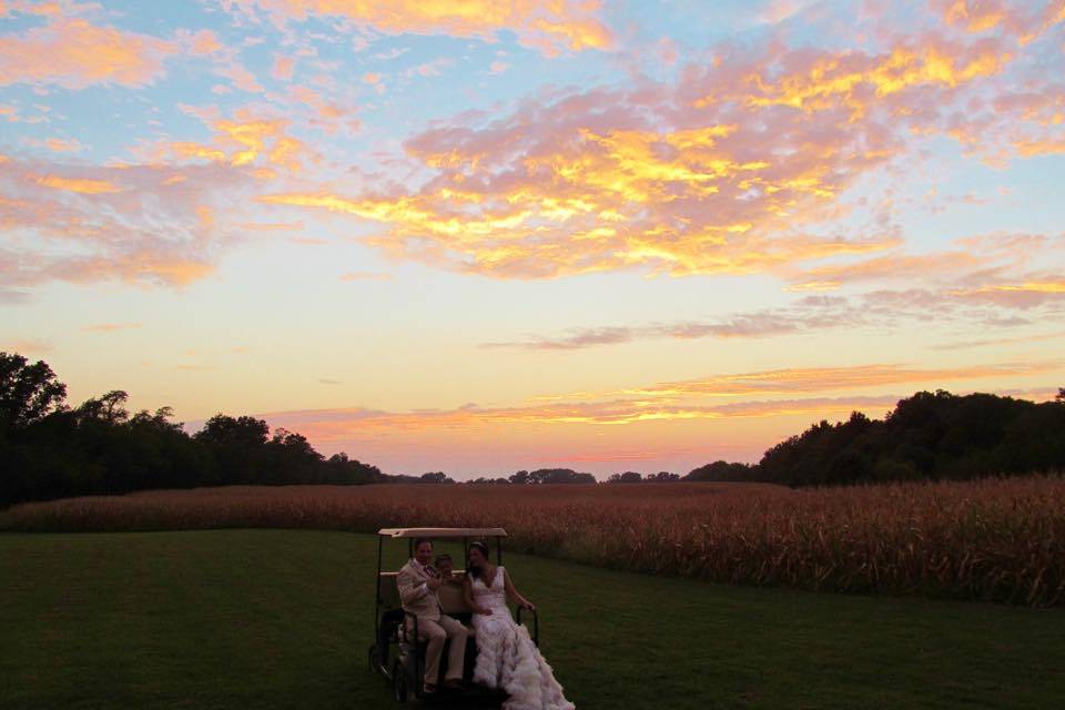 Outdoor Wedding