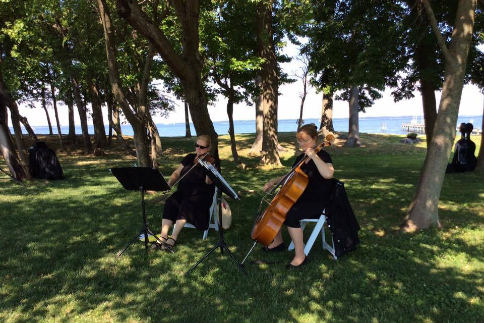 Outdoor Wedding