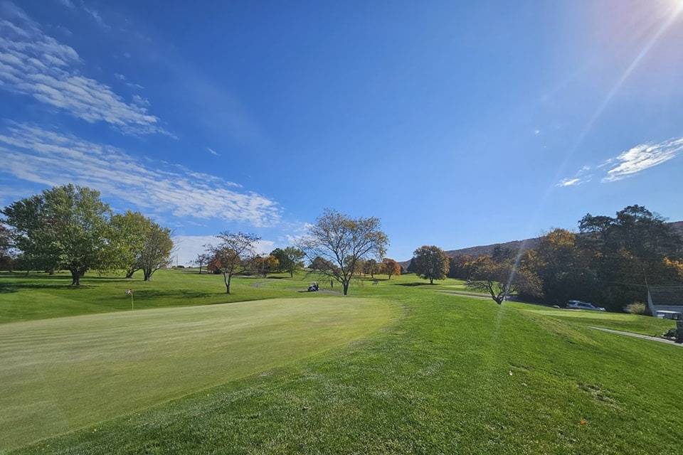 Golf club overview