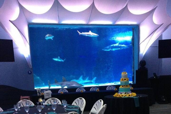Newport Aquarium