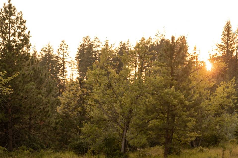 Idaho Engagement