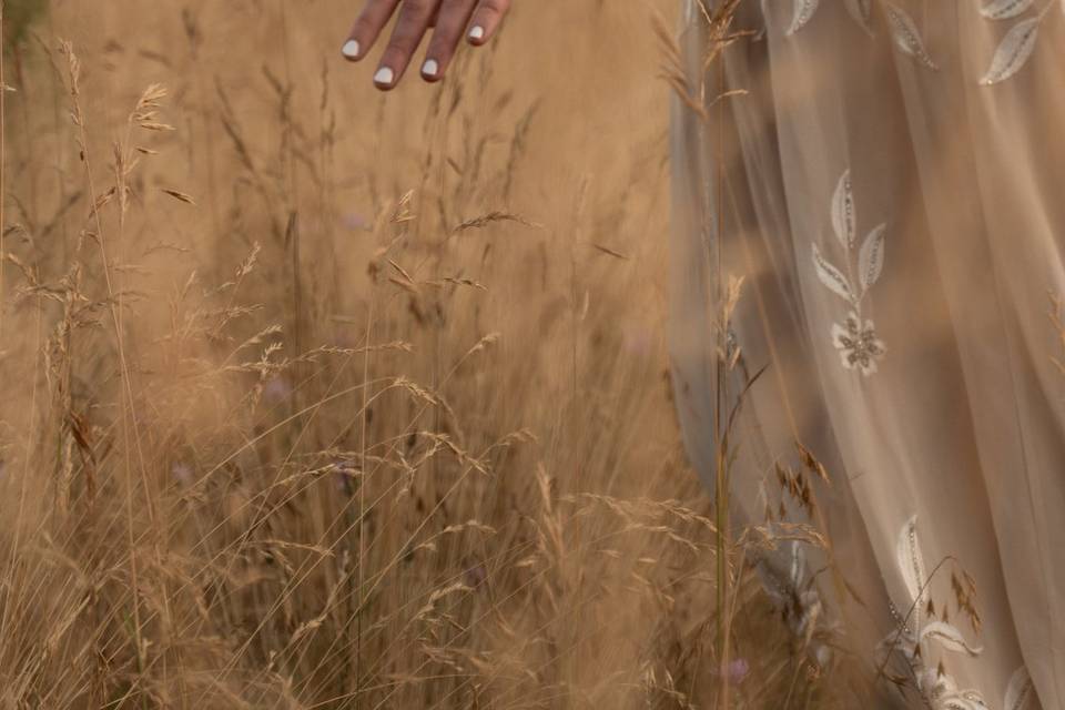 Idaho Engagement