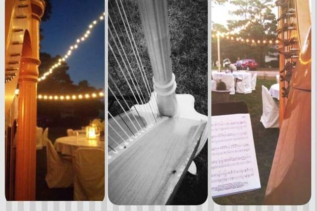 Harp By Erin