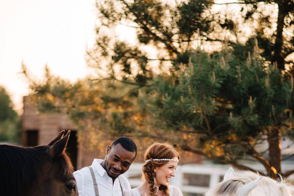 Aster and Birch Weddings