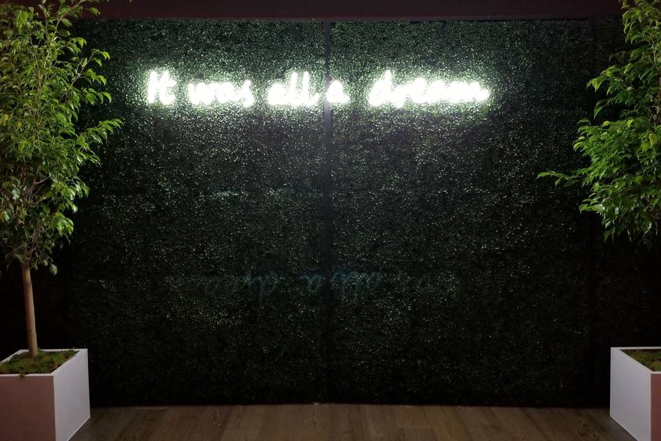 Green Wall w/Neon Sign