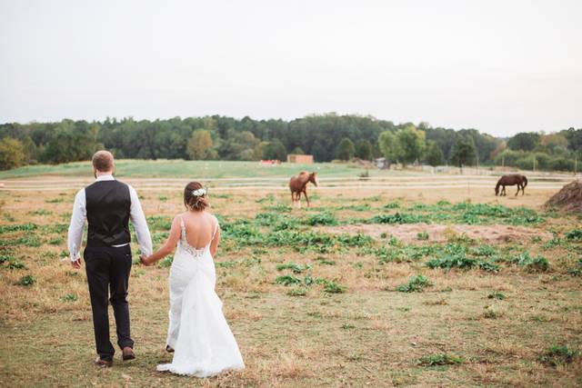 Walking through a field