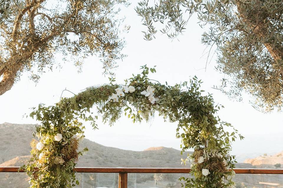 Cielo Farms