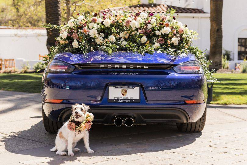 Car flowers