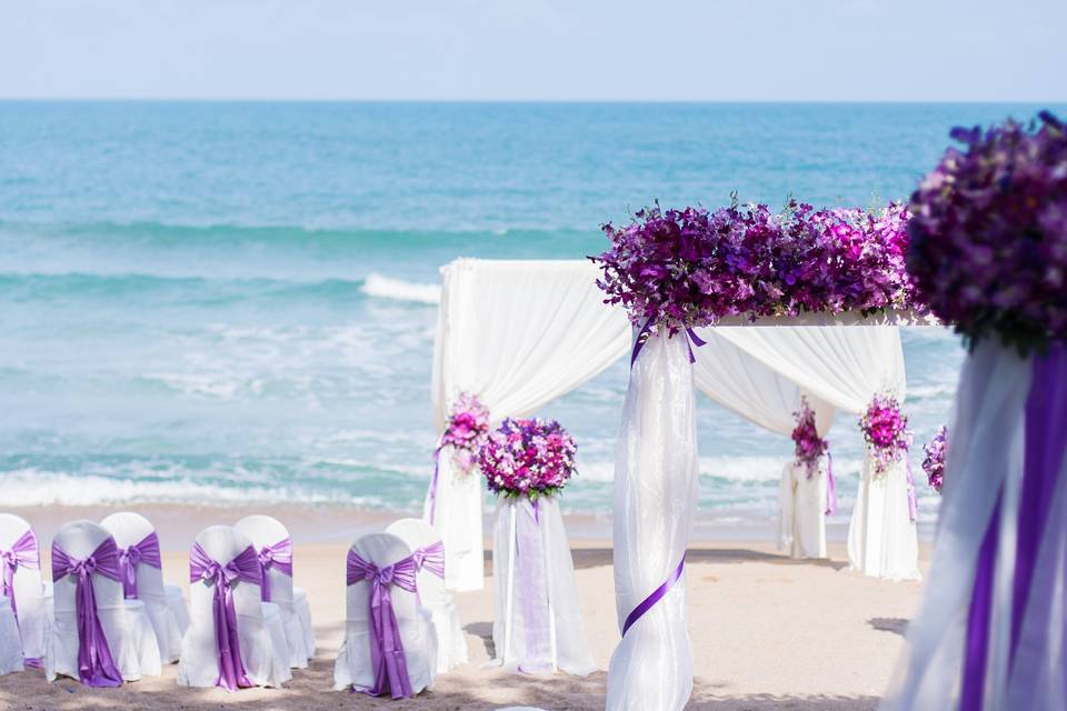 White and purple theme