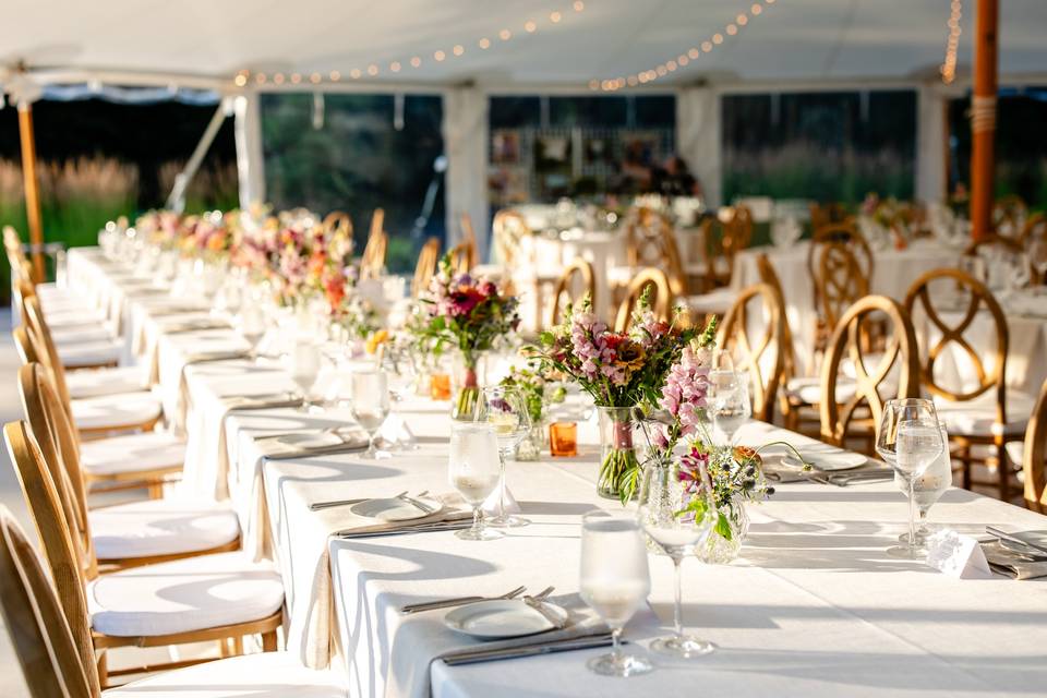 The Light in the Tent