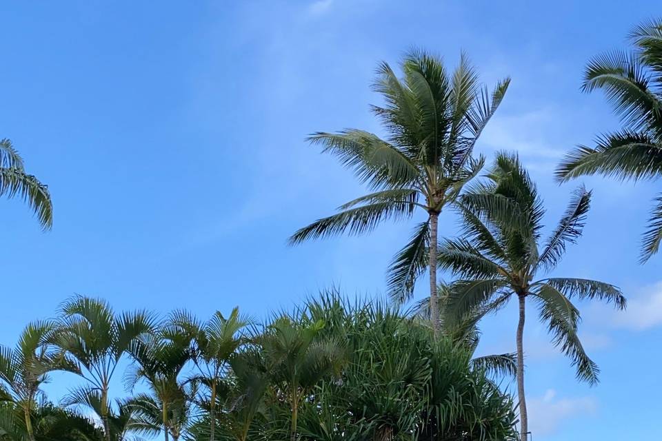 Ceremony Sounds at He'eia