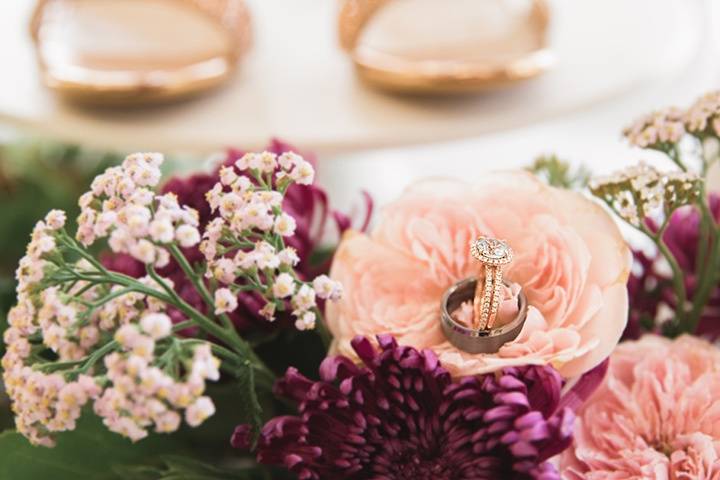 BRITTENY DONNEY PHOTOGRAPHY