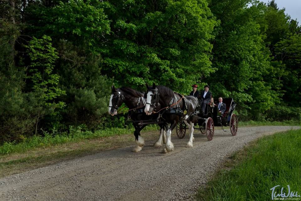 June Farms