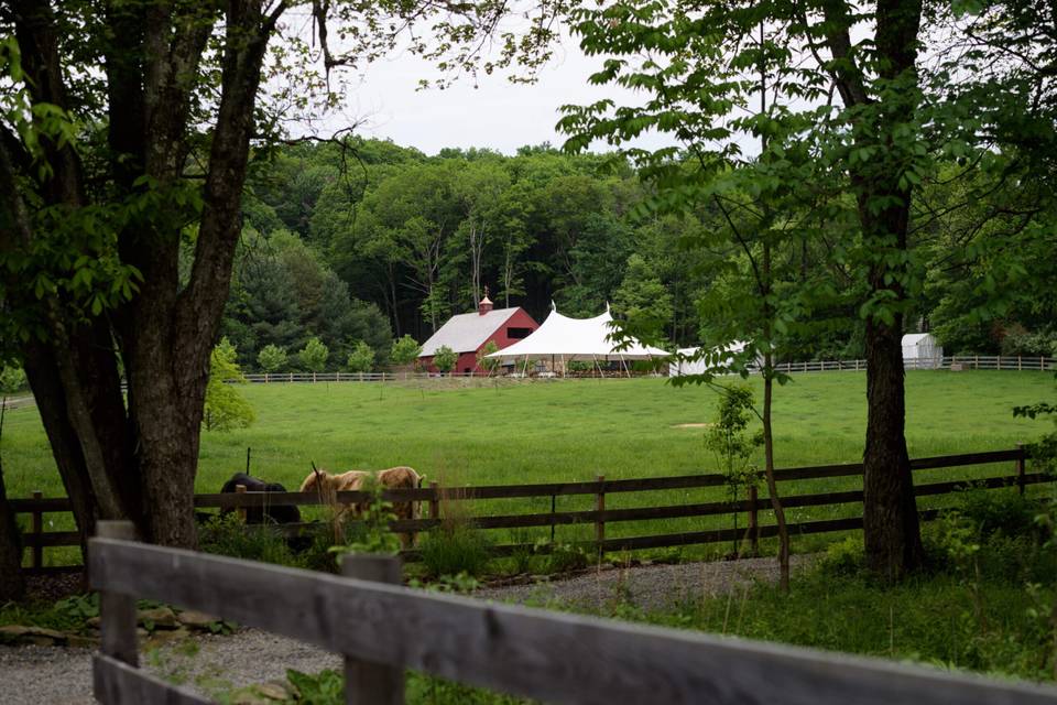 June Farms