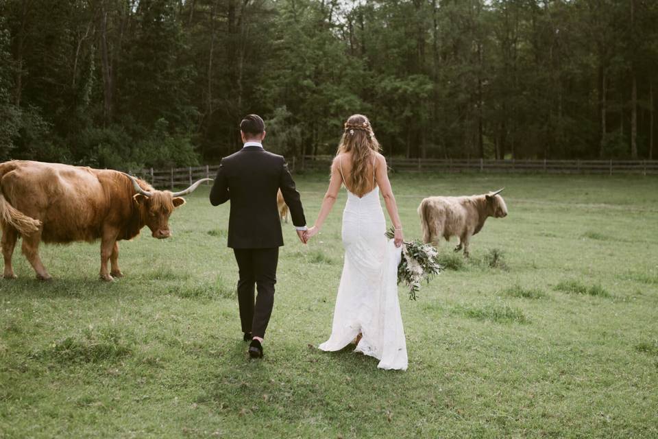 June Farms