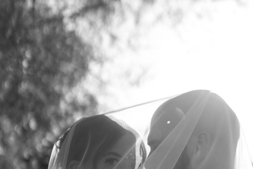Columbus Ohio Weddings