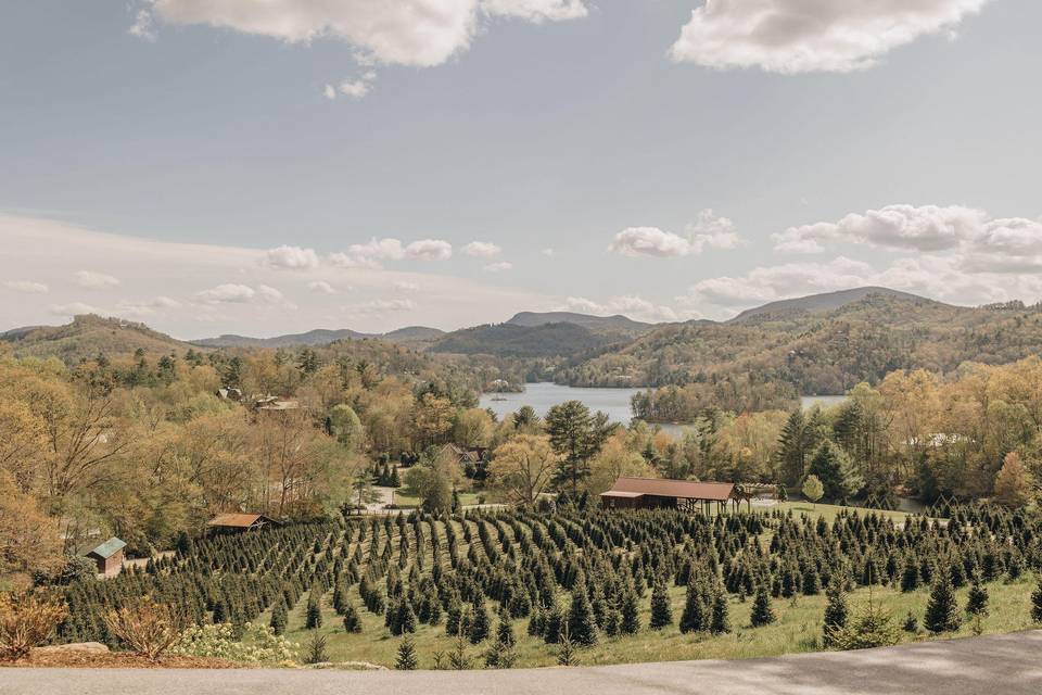 Ceremony view