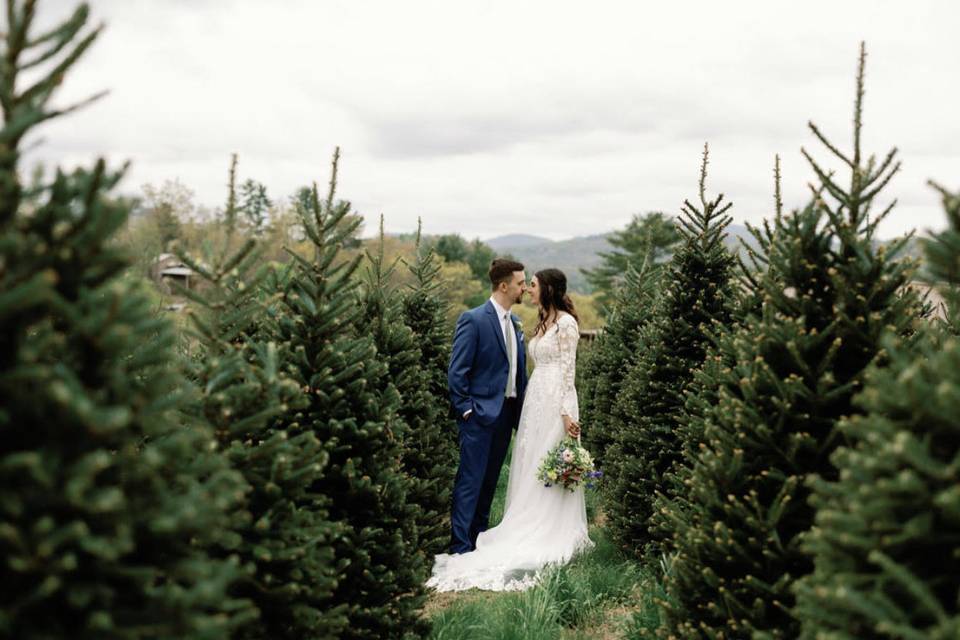 Chimney Pond Farm