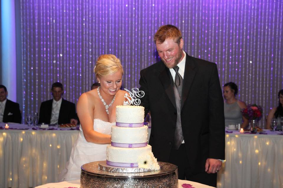 Wedding cake cutting