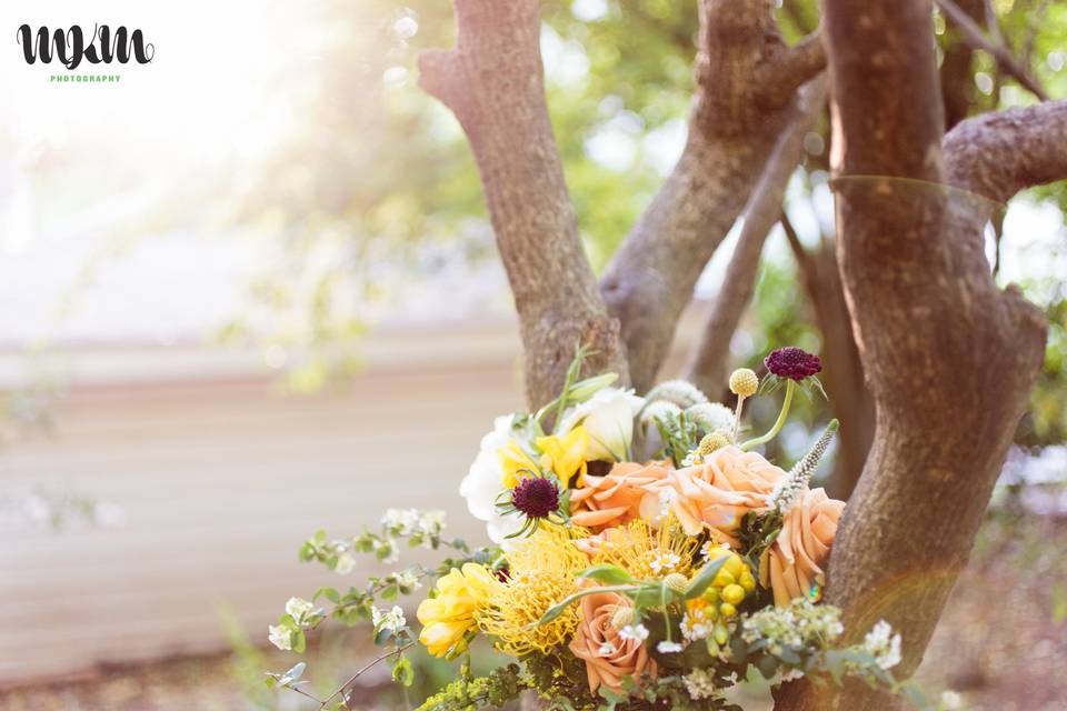 Bowerbird Flowers and Apothecary