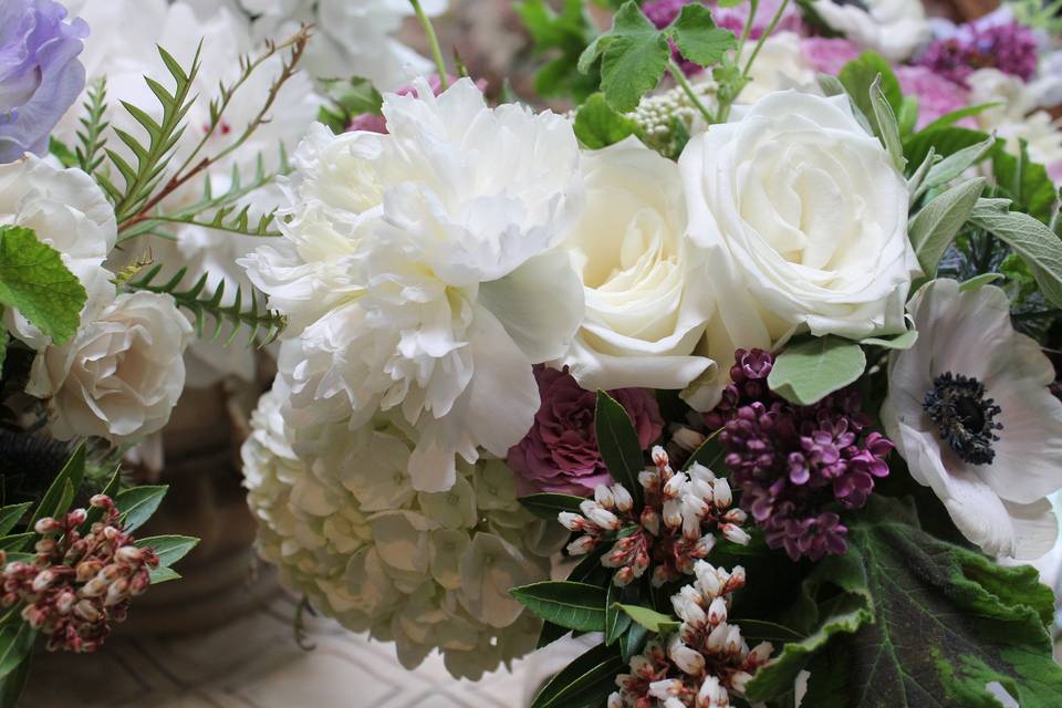 Bowerbird Flowers and Apothecary