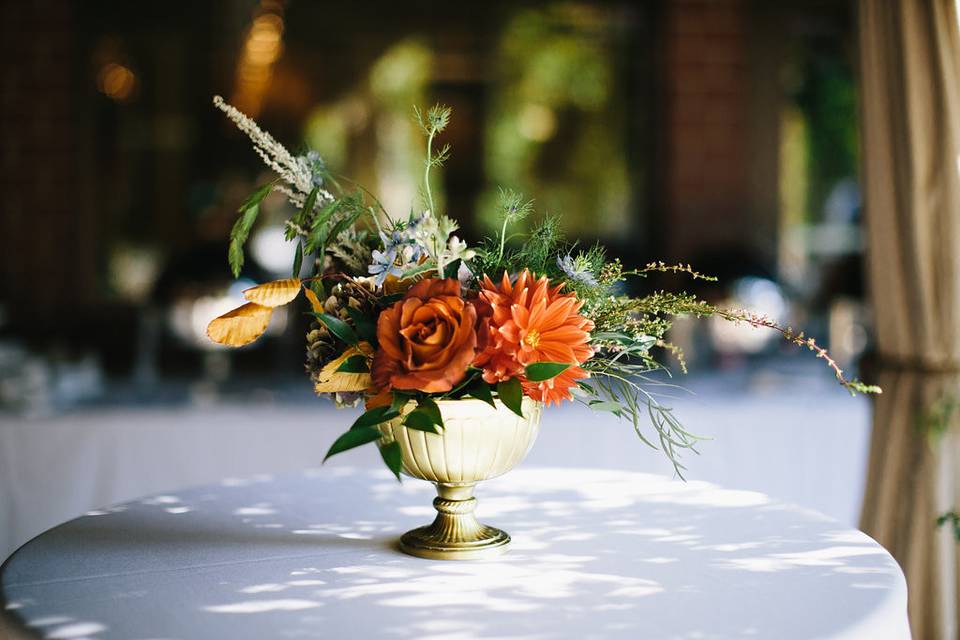 Bowerbird Flowers and Apothecary