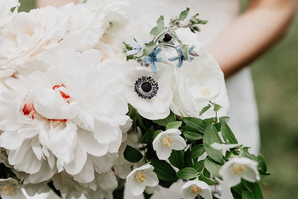 Bowerbird Flowers and Apothecary