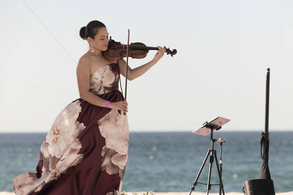 Exceptional Violinist