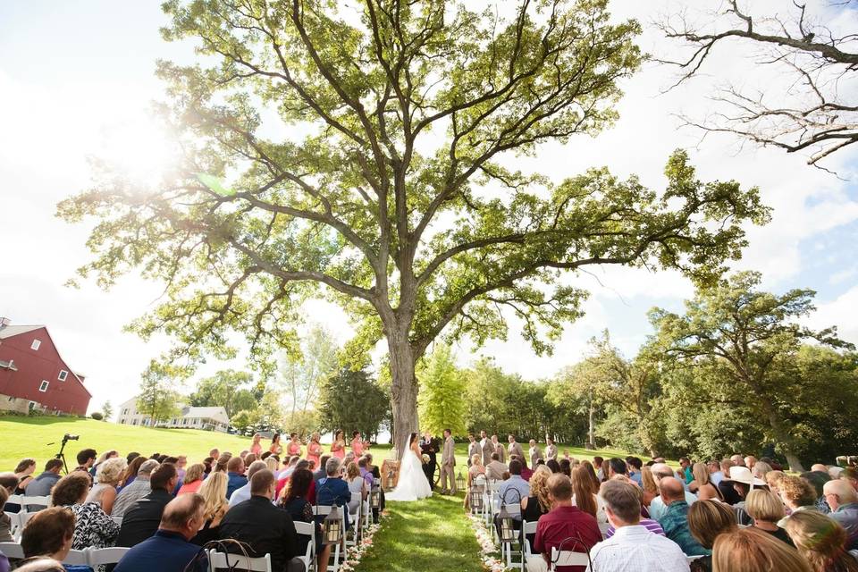 Oak Hill Weddings