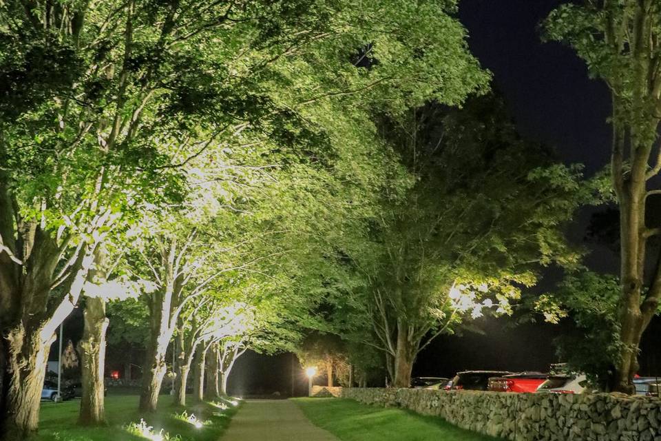 Light-lined driveway