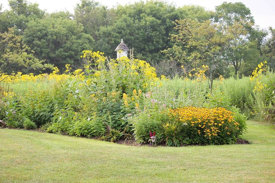 PSU master gardener's flowers