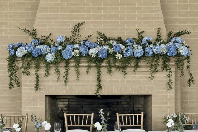 Hydrangea Mantal