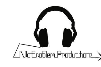 No Problem Productionz LLC