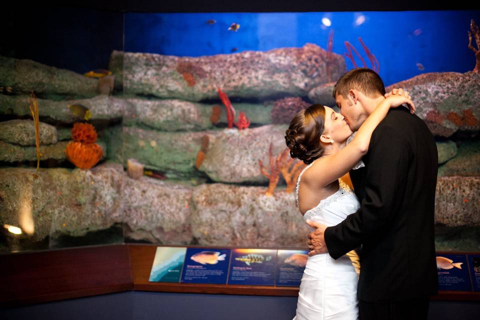 Aquarium wedding