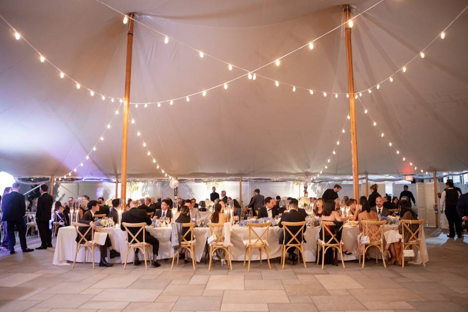Under the Tent