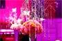 Events by M. Herron