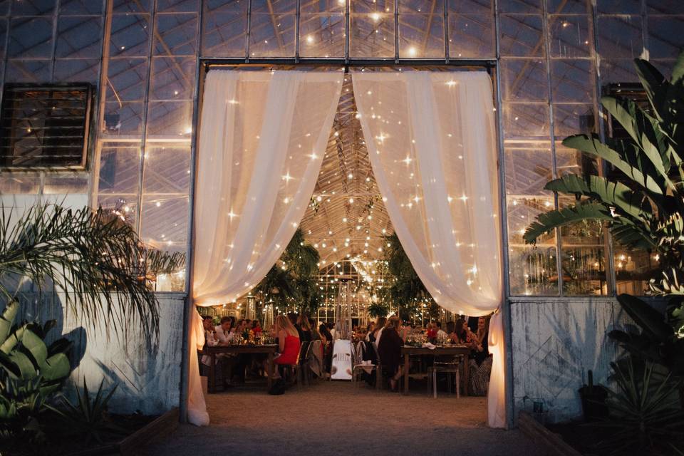 Entering the tent with beautiful lighting