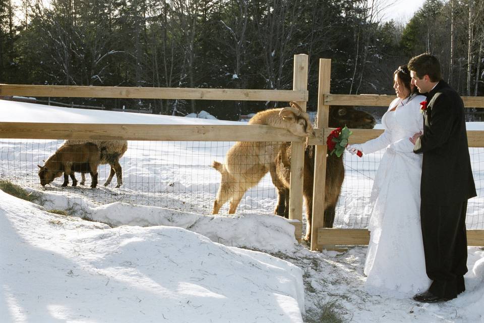 A Perfect Vermont Wedding at Mountain Meadows Lodge