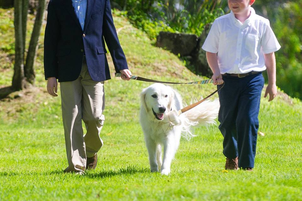 A Perfect Vermont Wedding at Mountain Meadows Lodge