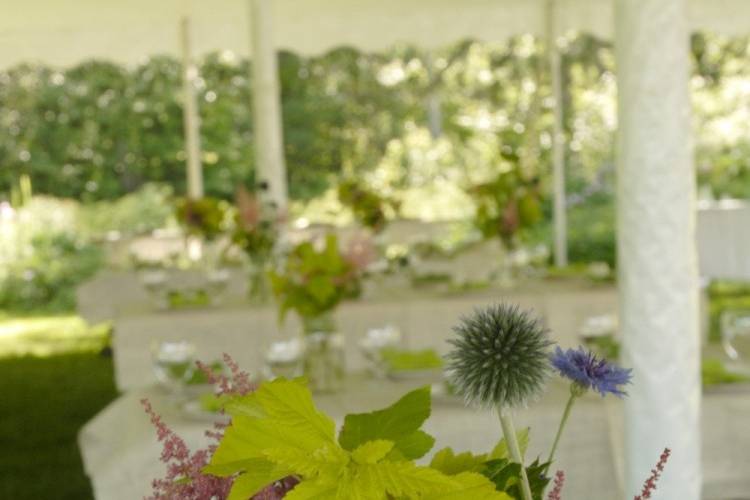 A Perfect Vermont Wedding at Mountain Meadows Lodge