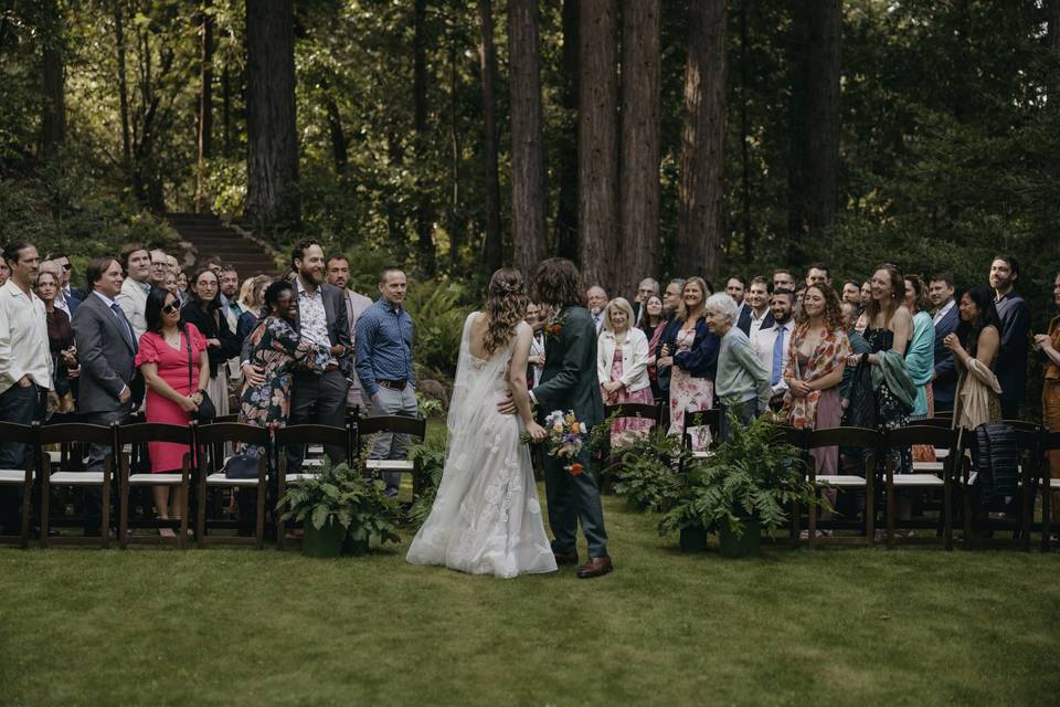 Wedding in the redwoods
