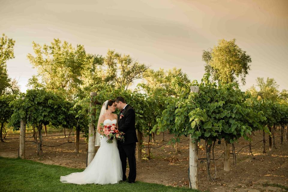 Colorado Winery Wedding