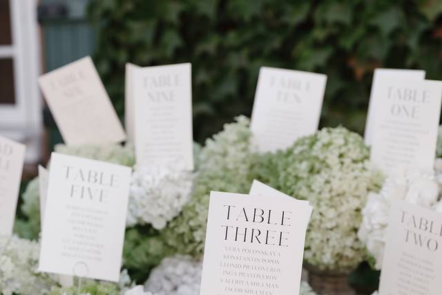 Hydrangea Escort