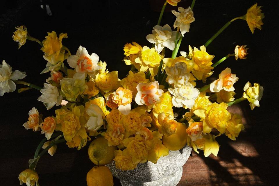 Pretty Yellow