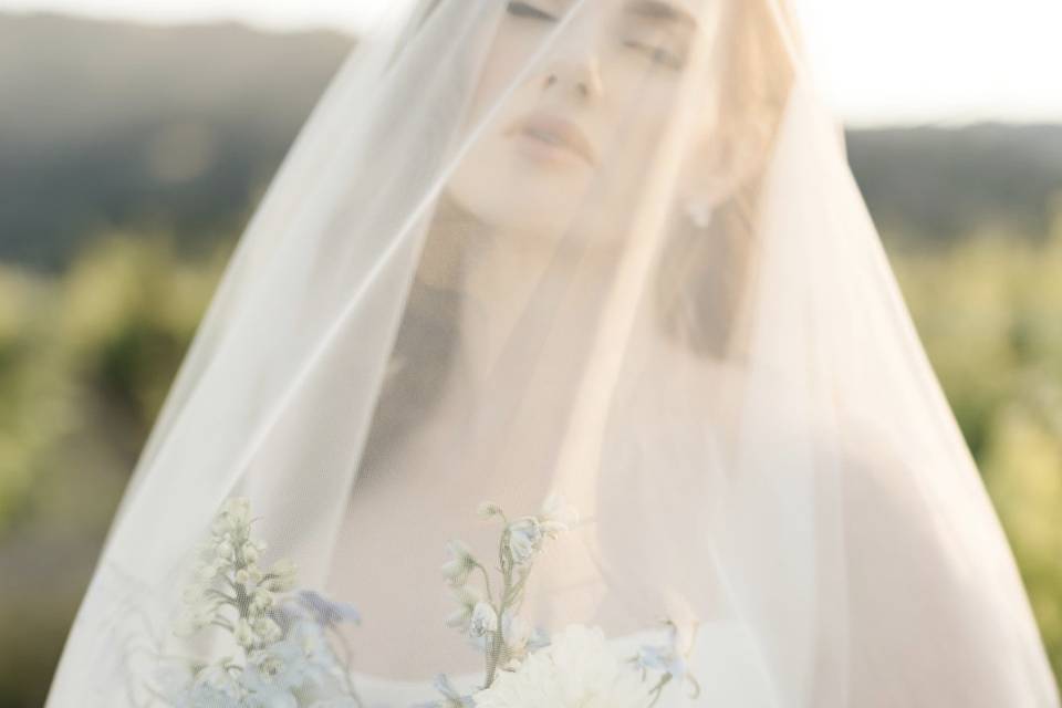 Touches of Blue