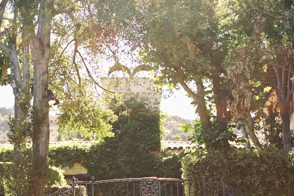 Stonepine Carmel