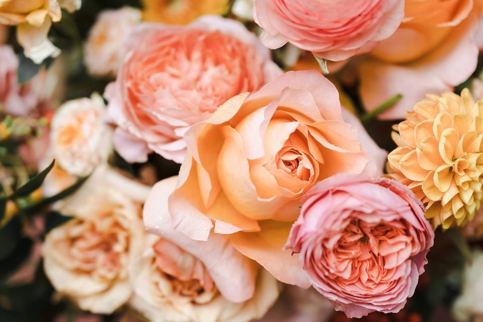 Fall Flowers
